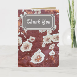 Cartão De Agradecimento Personalizado Obrigado Natureza Red Rock Lichen Ca