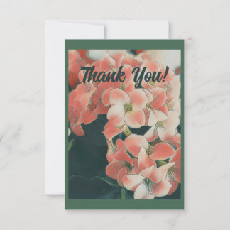 Cartão De Agradecimento Pêssego