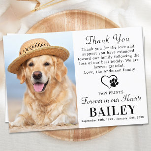 Cartão De Agradecimento Pet Memorial Dog Perde Moderna Simpatia Fotográfic