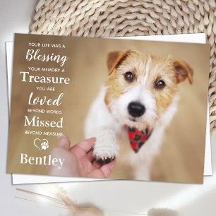 Cartão De Agradecimento Pet Memorial Personaliza Moderna Simpatia Fotográf
