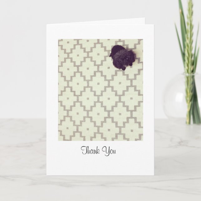 Cartão De Agradecimento Pet Sitter (Frente)