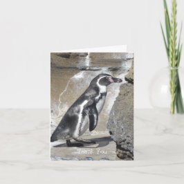 Cartão De Agradecimento Pinguim Obrigado