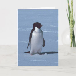 Cartão De Agradecimento Pinguim solitário na neve