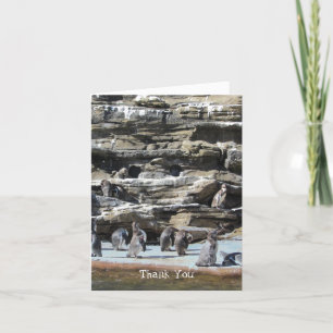 Cartão De Agradecimento Pinguins Obrigado