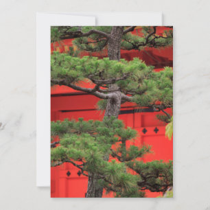 Cartão De Agradecimento Pinheiro Bonsai