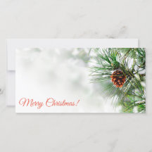 Pinheiro coberto de neve