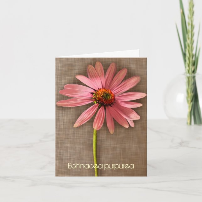 Cartão De Agradecimento Pink Coneflower Echinacea purpurea Obrigado (Frente)