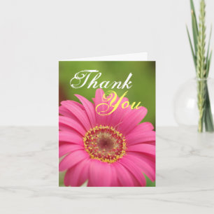 Cartão De Agradecimento Pink Gerbera Daisy Thank You note