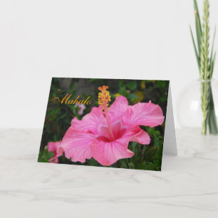 Cartão De Agradecimento Pink Hawaii Hibiscus card