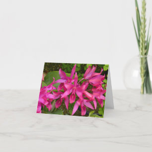 Cartão De Agradecimento Pink Orchids All Occasions Customizable Card
