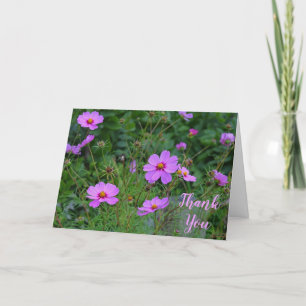 Cartão De Agradecimento Pink Purple Cosmos Flower Obrigado Mensagem