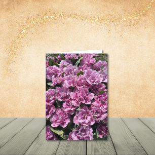 Cartão De Agradecimento Pinks Mudados, Tulipas Fringas, Placas De Nota