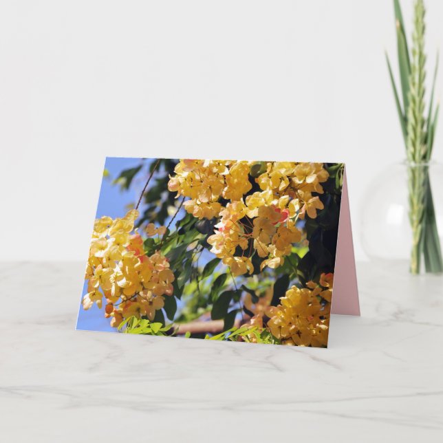 Cartão De Agradecimento Placa de árvore do Chá Arco-Íris para Flor (Frente)