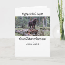 Cartão De Agradecimento Placa de Dia de as mães Cockapoo
