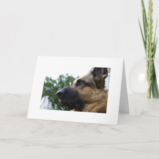 Cartão De Agradecimento Placa de german shepherd (Frente)