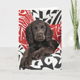 Cartão De Agradecimento Placa de Namorados de Puppy para Espanha irlandesa