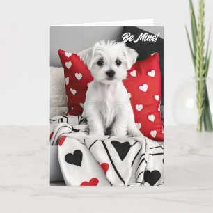 Cartão De Agradecimento Placa de Namorados de Puppy Terrier Maltês