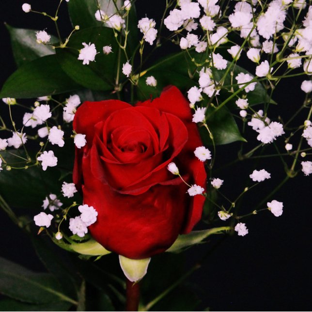 Cartão De Agradecimento Placa de Namorados romântica (Criador carregado)