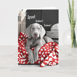 Cartão De Agradecimento Placa de Namorados Weimaraner