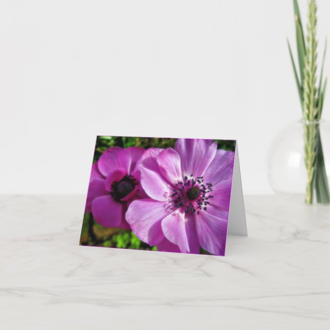 Cartão De Agradecimento Placa de Nota de Anemone Roxo Springtime (Frente)