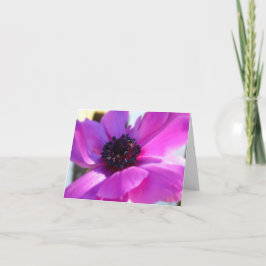 Cartão De Agradecimento Placa de Nota de Anemone Roxo Springtime