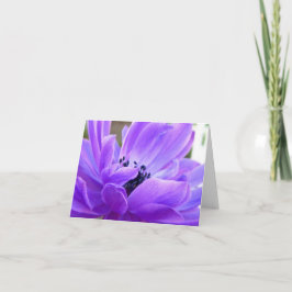 Cartão De Agradecimento Placa de Nota de Anemone Violeta Springtime