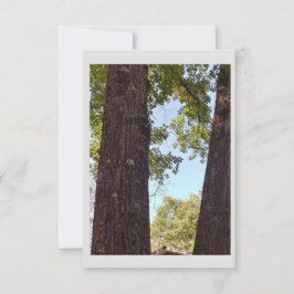 Cartão De Agradecimento Placa de Nota de Árvore de Carvalho