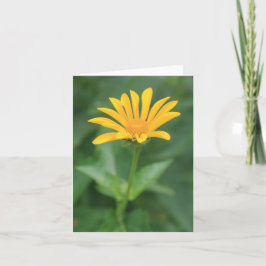 Cartão De Agradecimento Placa de Nota de Flor Amarelo Solitária