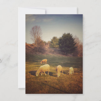 Cartão De Agradecimento Placa de Nota de vazio