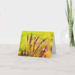 Cartão De Agradecimento Placa de Nota de Vazio de Arte com Flor Vervain Pu