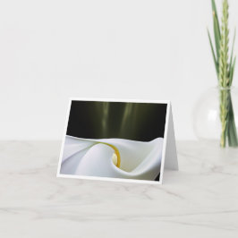 Cartão De Agradecimento Placa de Nota do Porcelain Calla