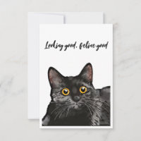 Placa de Olhos Amarelos de Gato Negro