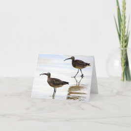 Cartão De Agradecimento Placa de saudação do vazio com Whimbrel design