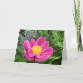 Cartão De Agradecimento Placa de saudação do Vazio de Tree Peony