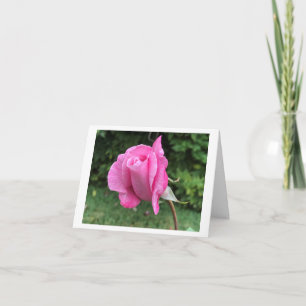 Cartão De Agradecimento Placa de saudação dobrada, pequena, 4" x 5,6"