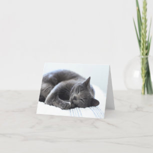 Cartão De Agradecimento Placa de Vazio de Cinza de Gato para