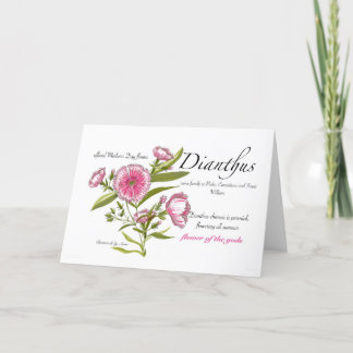 Cartão De Agradecimento Placa de Vazio Dianthus