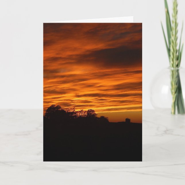 Cartão De Agradecimento Placa Halo Poem Dentada por Cirurgia Cerebral (Frente)