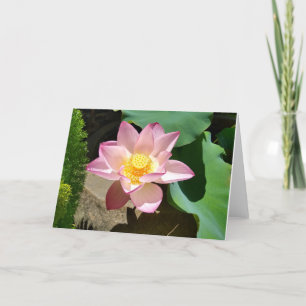 Cartão De Agradecimento Placa Lotus