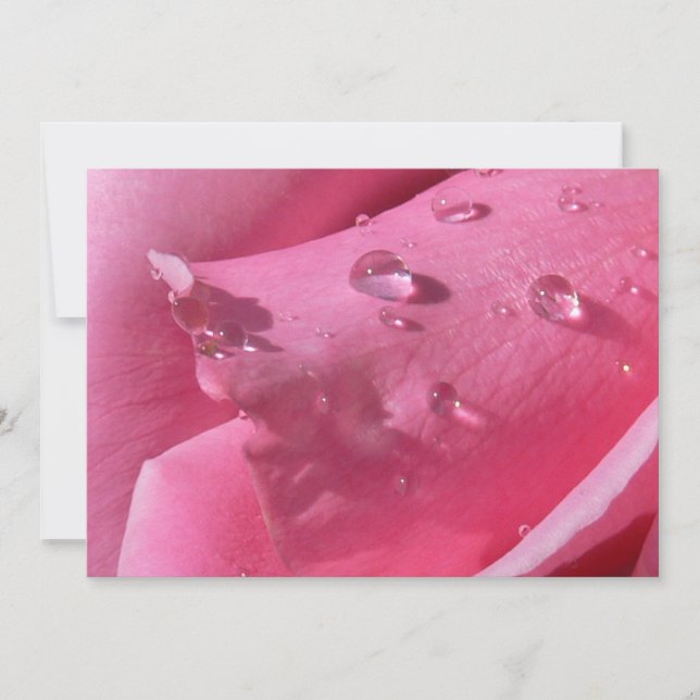 Cartão De Agradecimento Placa para Rosa de torre Eiffel (Frente)