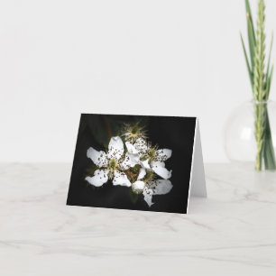 Cartão De Agradecimento Placa para Vazio Flor