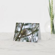 Placa primavera Chickadee