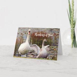 Cartão De Agradecimento Placa Swan Duck Dentro de Vazio de 