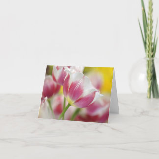 Cartão De Agradecimento Placas de Nota Tulip