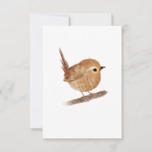 Cartão De Agradecimento Placas para Vazios de pássaros Wren