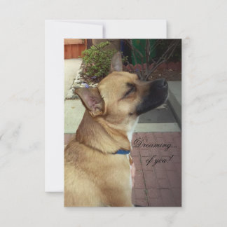 Cartão de Agradecimento Plano 3,5" x 5" para Cães 