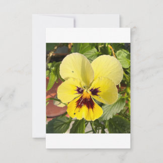 Cartão de Agradecimento Plano com Foto de Flor de