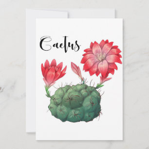 Cartão De Agradecimento Planta de Lover Cactus
