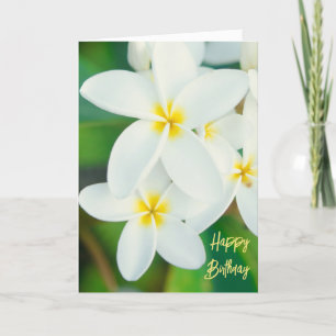 Cartão De Agradecimento Plumeria Happy Birthday Card