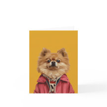 Pomerânia